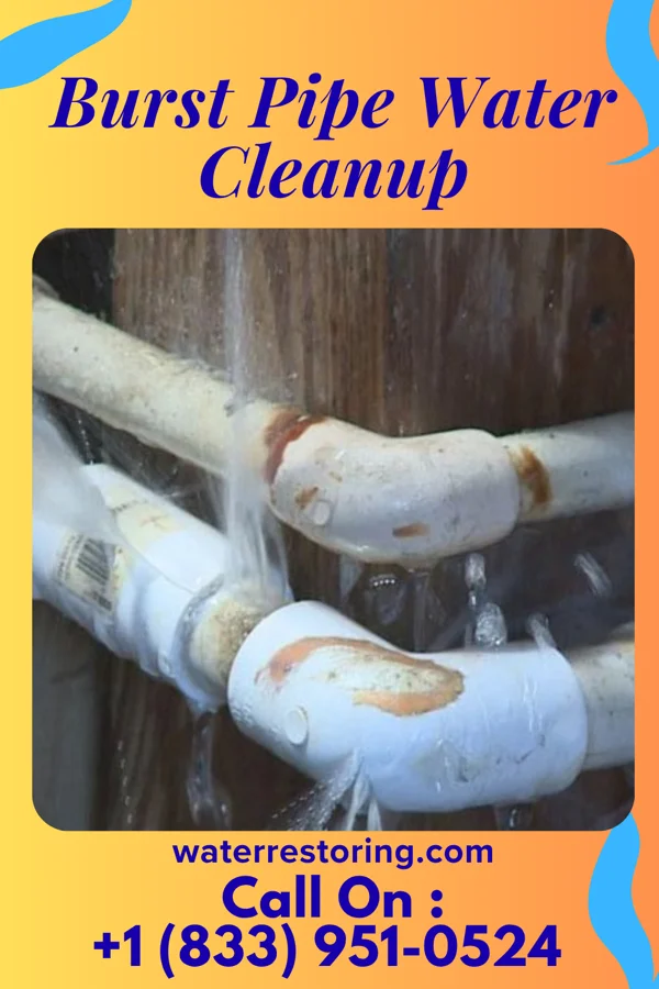 Burst Pipe Water Cleanup in Monee, IL