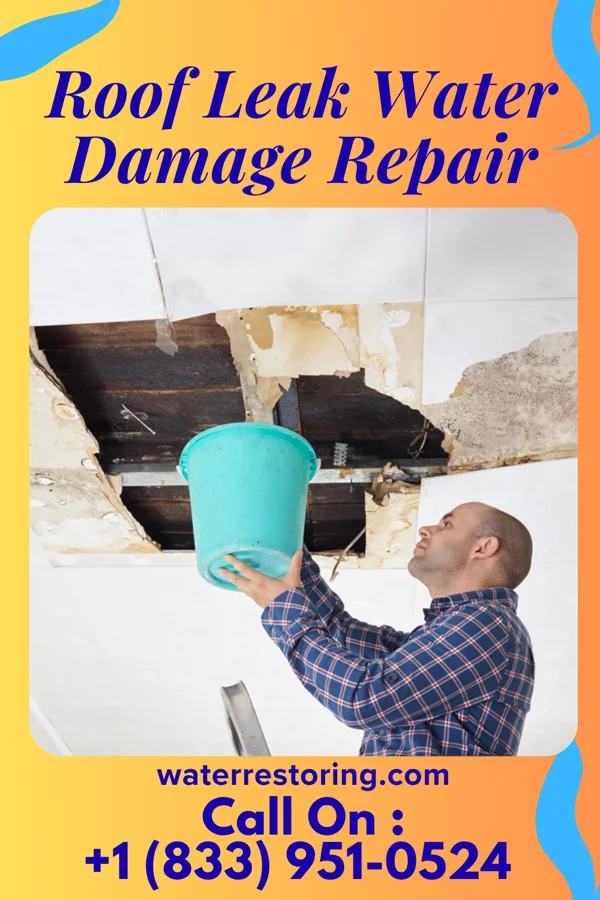 Roof Leak Water Damage Repair in Monee, IL