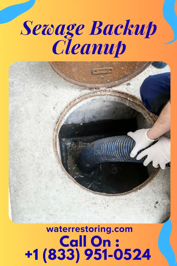 Sewage Backup Cleanup in Monee, IL