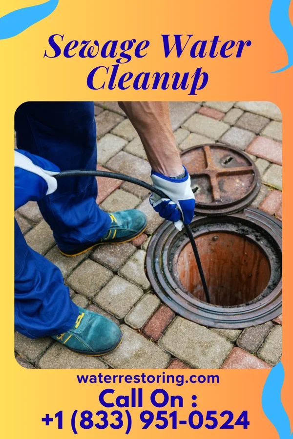 Sewage Water Cleanup in Monee, IL